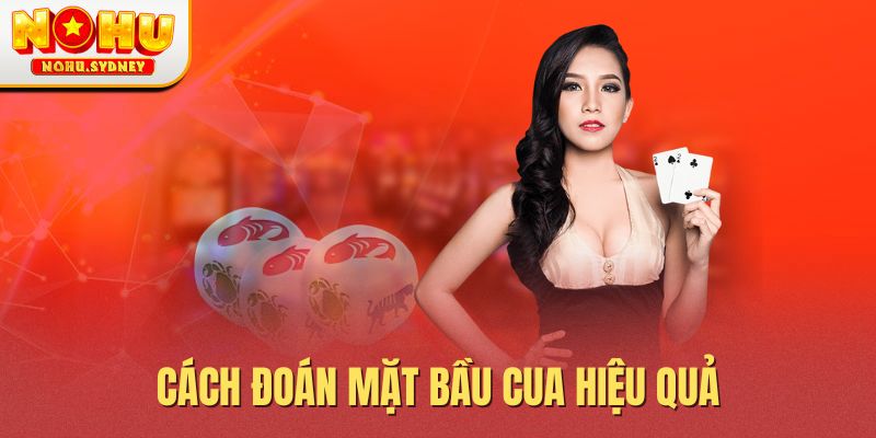 Cách đoán mặt bầu cua hiệu quả Cách đoán mặt bầu cua hiệu quả